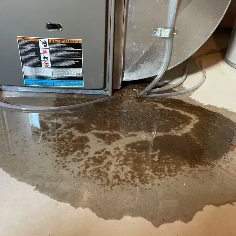 Appliance Leak Cleanup in Lynnwood, WA